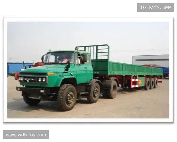 北京排球队的战术变革与深度解析：从传统到现代的转型之路