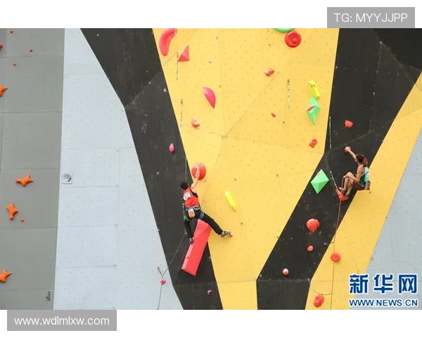 武汉攀岩队团队协作的探索与实践分享攀岩运动的魅力与挑战