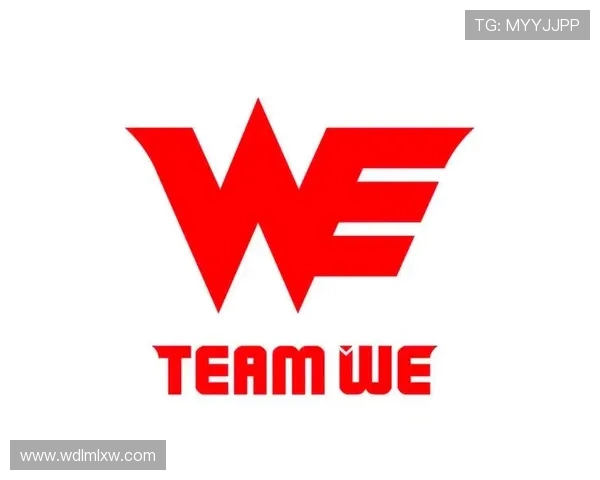 英雄联盟盛宴：深入解析WE战队的崛起与辉煌历程