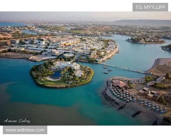 探索跳水运动魅力与冠军培养体系解析之全景视角深度探秘发展未来