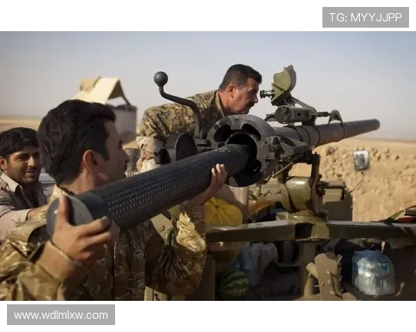 伊朗与叙利亚比赛是否会出现放水现象的深度分析与探讨