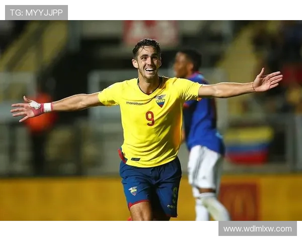 埃弗顿迎战桑岳吨辈力争主场胜利再创佳绩