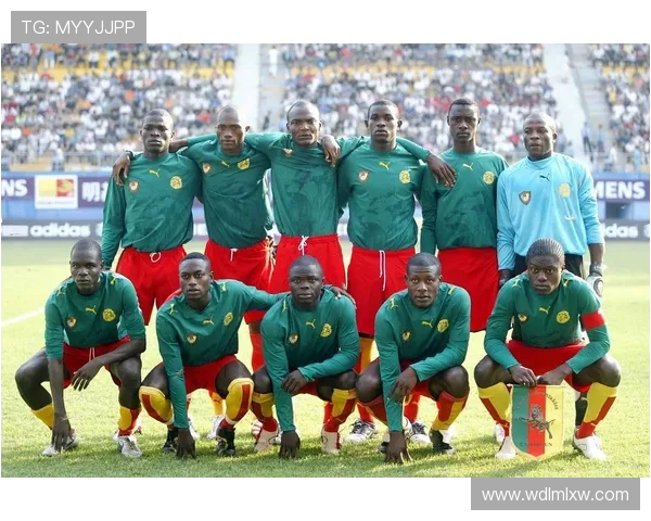 尼日利亚与埃及激战正酣比赛结果揭晓引发热议